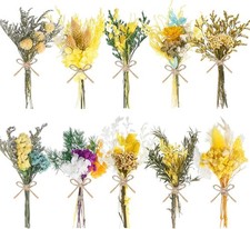 10/12/24/36 Pack Mini Dried Flowers for Vase Wedding Fall Various Mini Bouquet