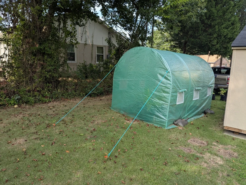 Зеленый домик - Изображение 2 из 2