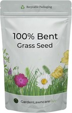 Bent Grass Seed for Fine Turf Lawns - Agrostis Tenuis - Ideal for Putting Green