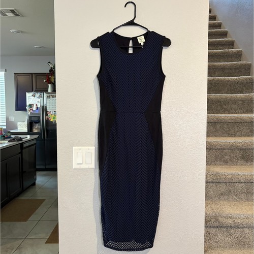 NEW Anthropologie Sparrow Navy Blue Chevron Lace Bodycon Midi Dress XS - Picture 2 of 7