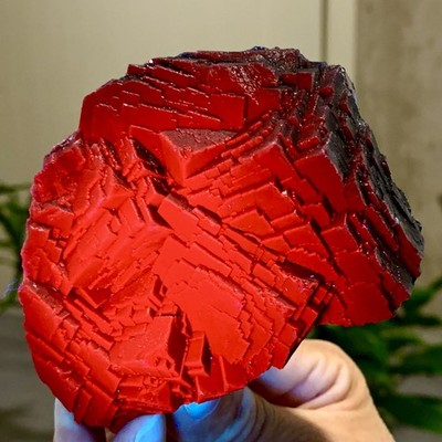 369G Natural black rose fluorescent cube fluorite specimen glow under UV light