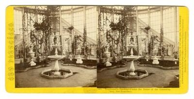 California -  Woodward's Garden, Under Conservatory Dome by Houseworth