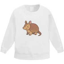 'Cute Armadillo' Kid's Sweatshirt / Sweater / Jumper (KW056739)