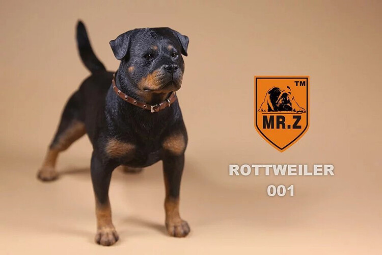Mr.Z 1:6 Animal Resin Simulation Toy Rottweiler Dog Figure 5 Mr.Z 1:6 Animal Resin Simulation Toy Rottweiler Dog Figure 5