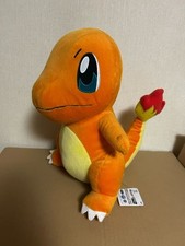 There is a [Pokmon Super Big Charmander Plush] tag