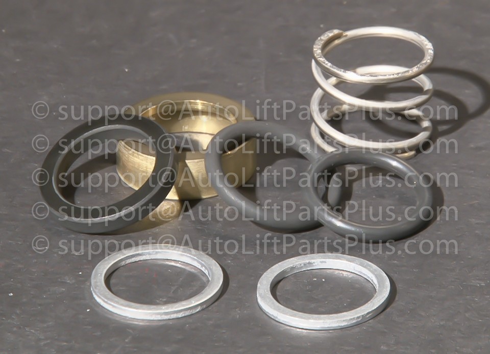 Shaft Seal Kit for Gasboy Consumer Pumps Series 70 / 1800 / 390