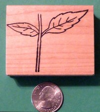 Leaf Stem Rubber Stamp, wood mounted