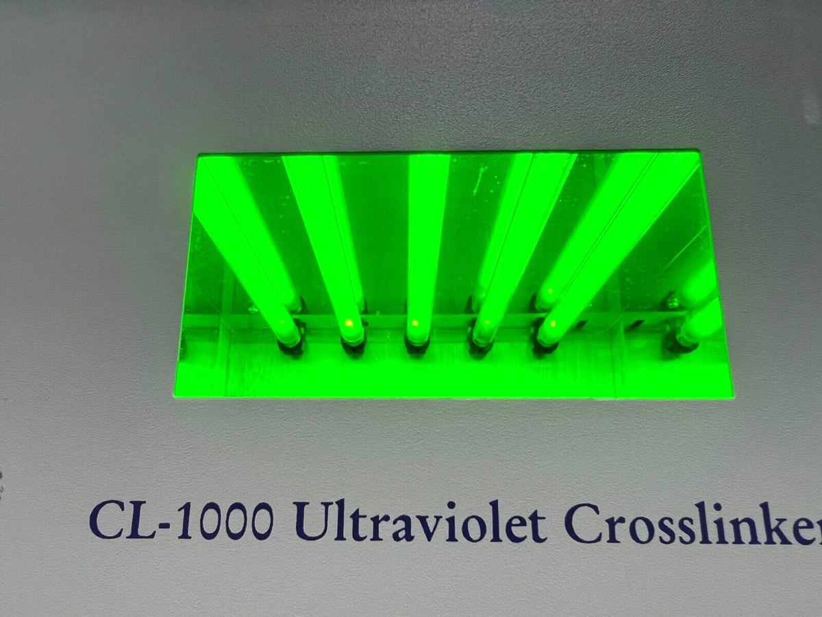 UVP Model CL-1000 Ultraviolet Crosslinker | eBay