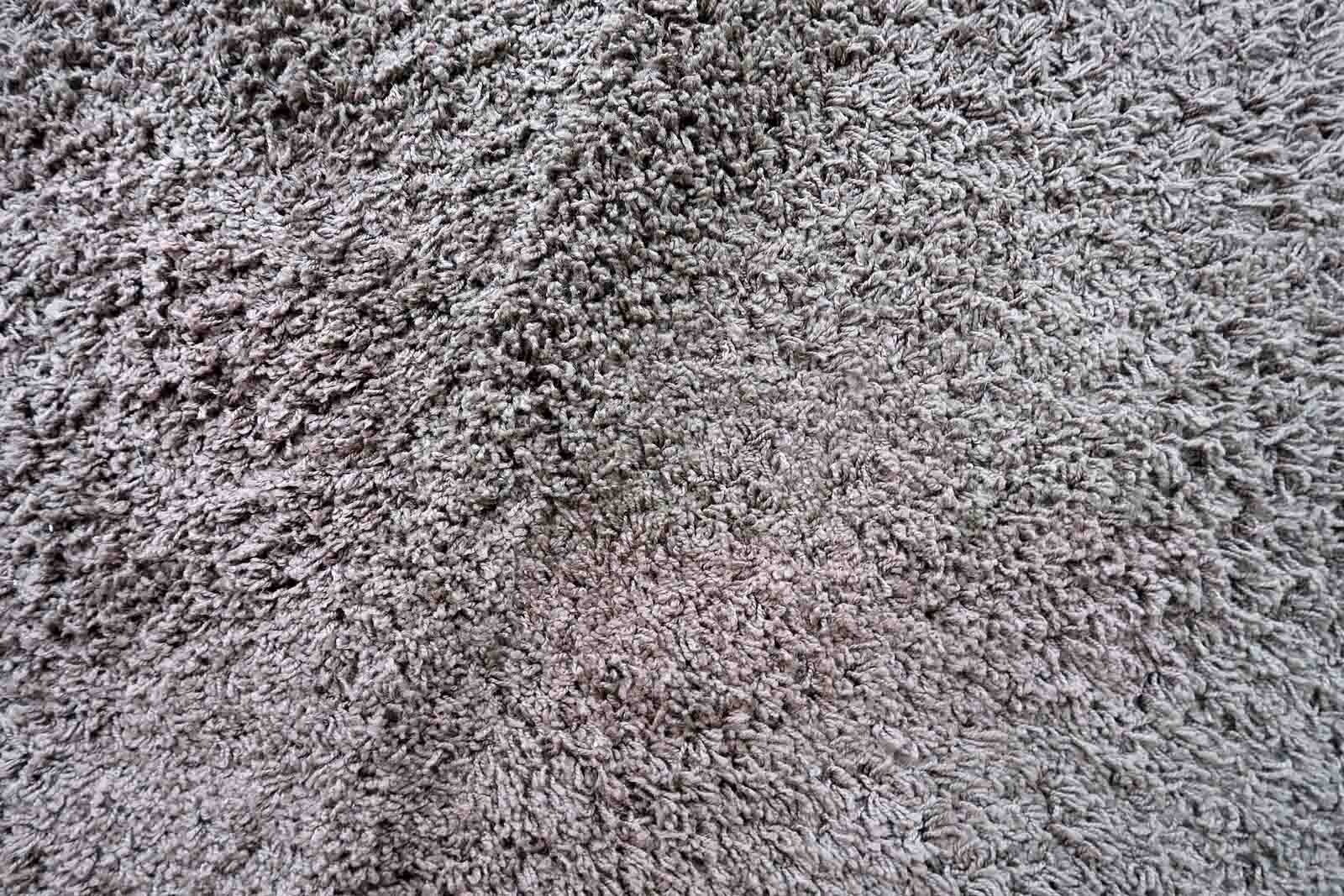Picture 6 of 10