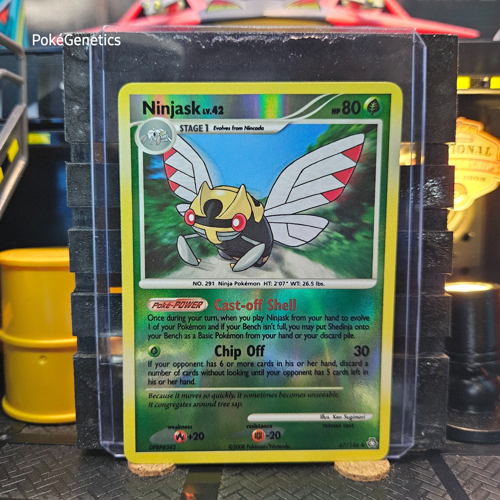 Ninjask Legends Awakened Reverse Holo Pokémon TCG 67/146 Diamond Pearl Uncommon