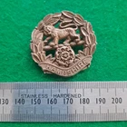 WW2 Hampshire Regiment Plastic Economy Issue Cap Badge