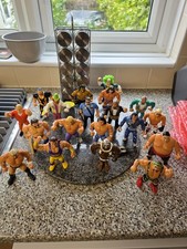 WWF Hasbro Bundle