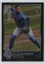 Salvador Perez