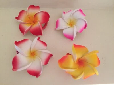 Frangipani Hair Ties 9cm Flowers Gumtree Australia Stirling Area