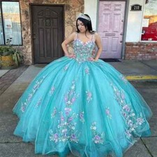 Aqua Blue Quinceanera Dresses Ball Gown Applique Lace Birthday Lace-Up Sweet 16