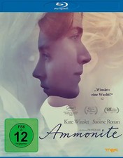 Ammonite BD