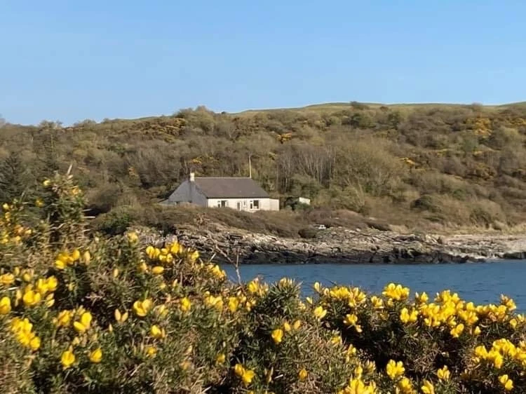 Dog friendly self store catering cottages