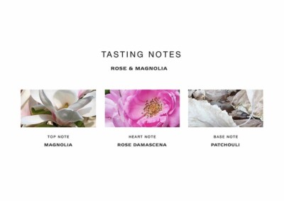 NIB ~ Jo Malone Rose & Magnolia Cologne 50 ml / 1.7 oz ~ Authentic
