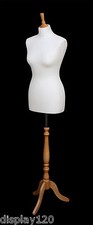 DELUXE CREAM Female Size 10-12 Dressmaking Mannequin Tailors Dummy BEECH stand