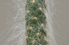 Bild 2 von 8