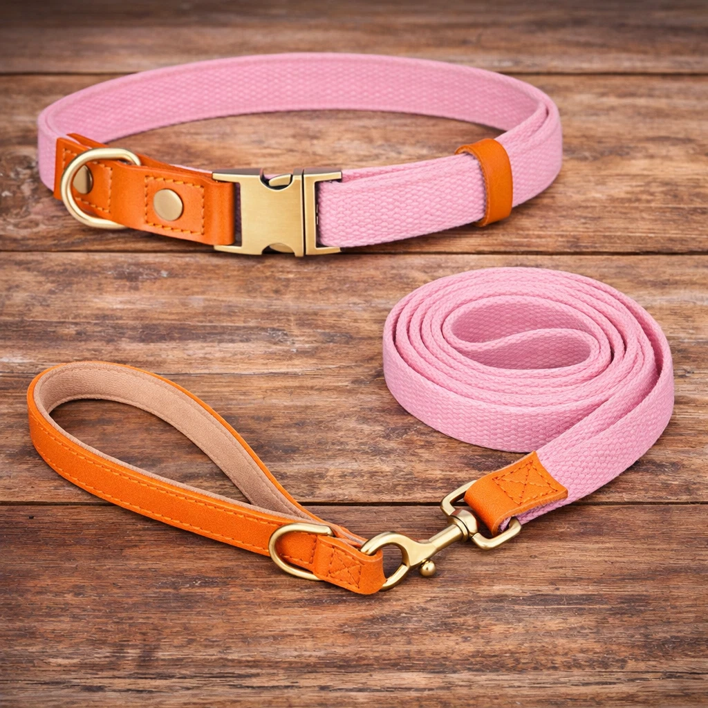 Hundehalsband Set Welpe Welpenhalsband Mit Leine Set Verstellbar Weich  Nylon Fr Kleine Mittlere Hunde
