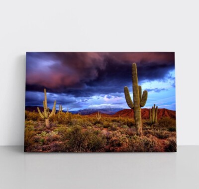 Cactus Desert Landscape Canvas Photo Print Wall Decor Nevada Arizona
