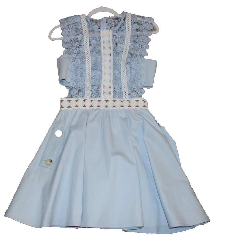 Self Portrait Blue Guipure Cotton Lace Mini Dress Size 4 NWOT | eBay