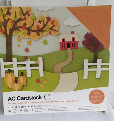 AC Cardstock - Herbst - 60 Blatt 12  x 12  - 216 g/m² - 20 Farben