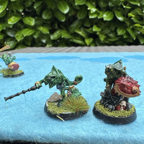 10 Hunters of Huanchi + 3 terrawing + cards Warhammer warcry Seraphon Painted - Picture 6 of 23