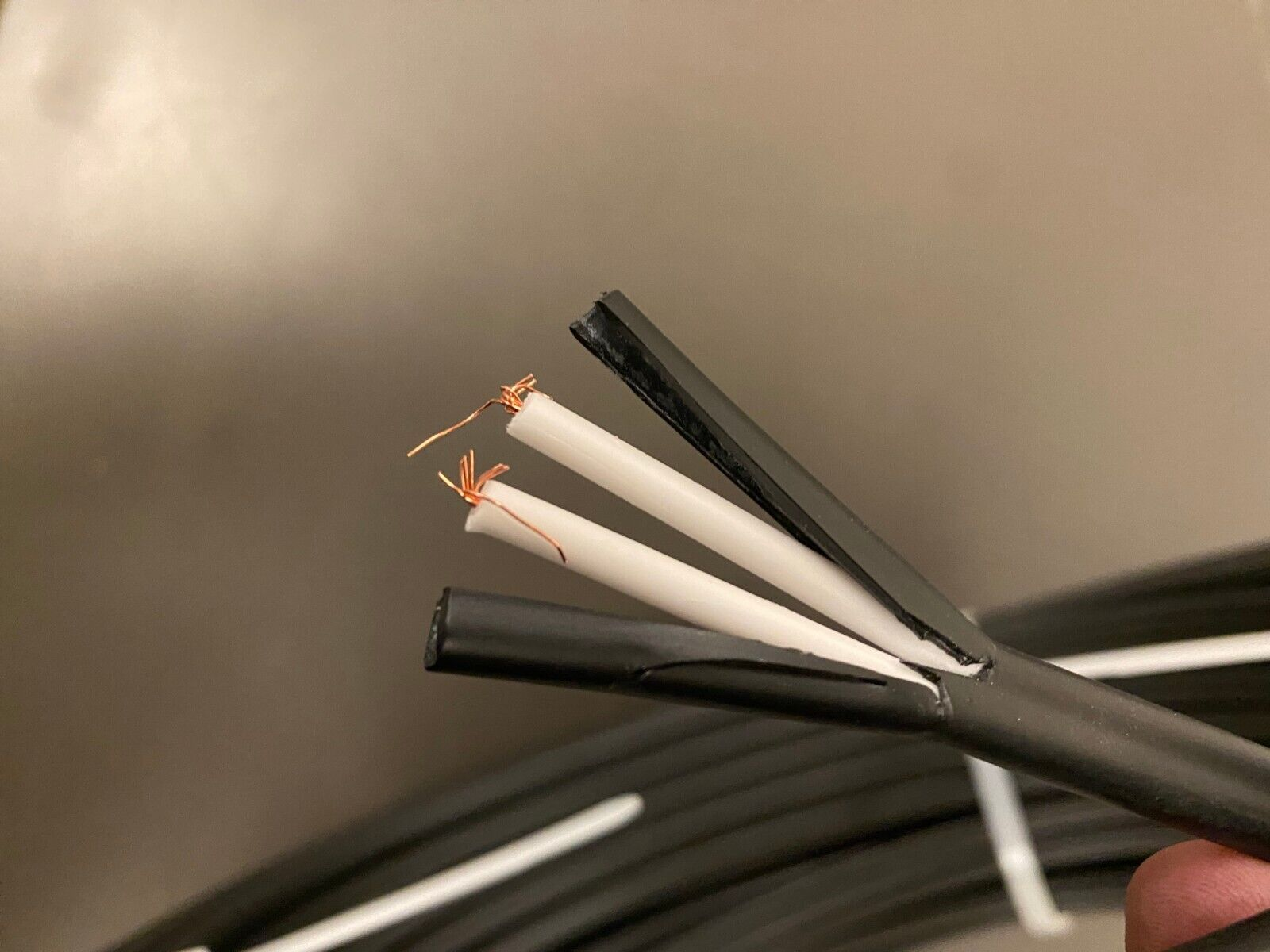 300 Ω Ohm Flat Twin Lead Antenna TV Video wire 300 Feet 29264AM eBay