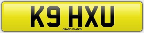 K9 HUND WELPENHUND Nummernschild K9 HXU KEINE ZUSÄTZLICHEN GEBÜHREN DOGGY WALK REG WOOF LOVE U