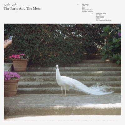 SOFT LOFT - THE PARTY AND THE MESS   CD NEU