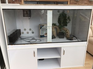 reptile terrarium furniture