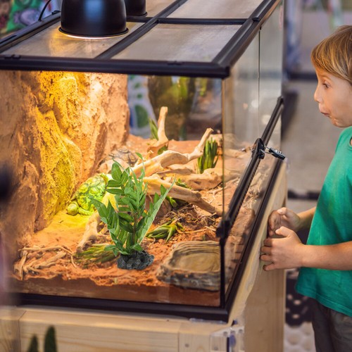 Fake Reptile Tank Plants Terrarium Decor Decorations for Reptiles - Zdjęcie 7 z 12