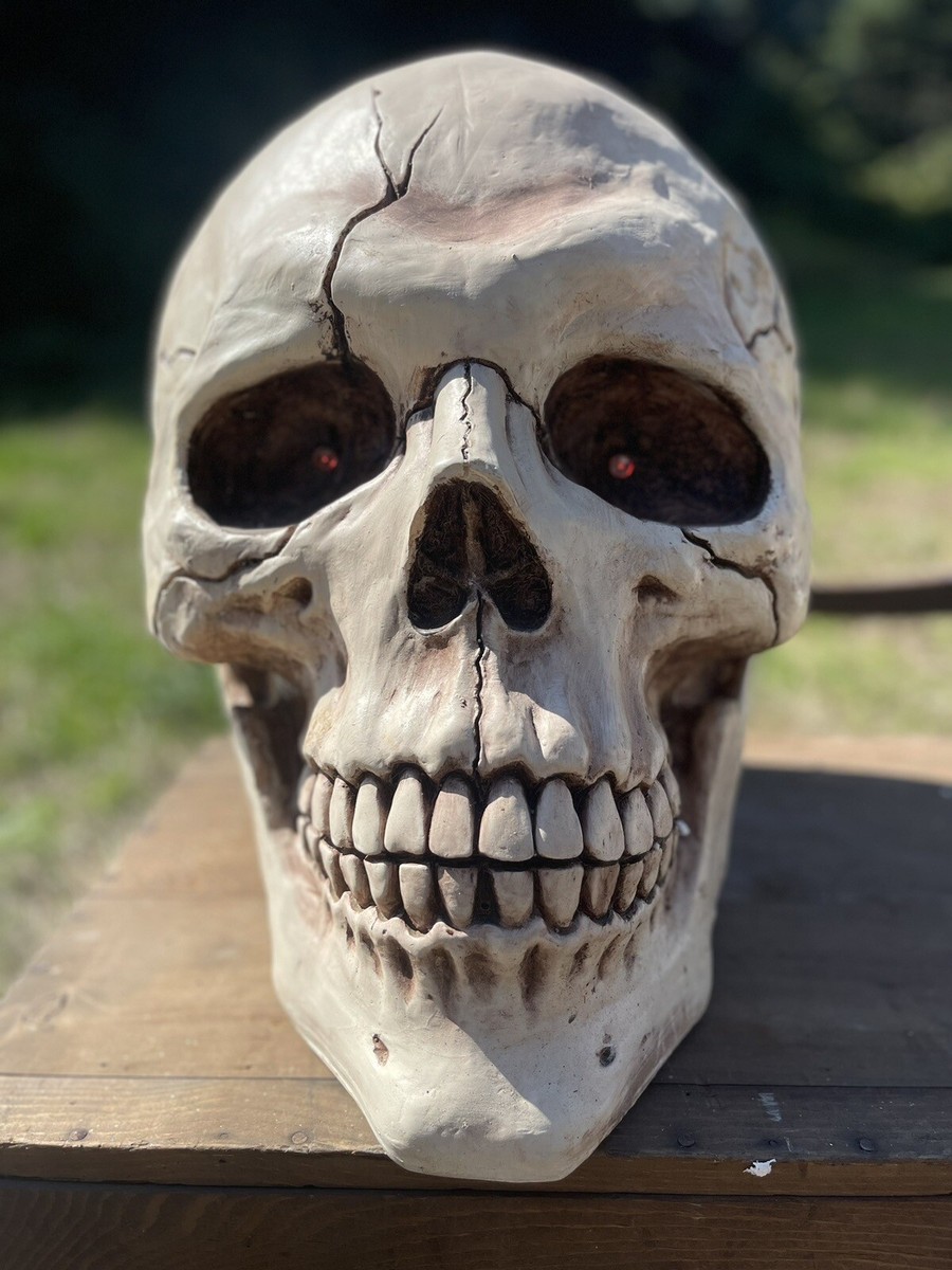 38灯 別注モデル HOLINUTS SKULL ver. Amazon.com: XGOPTS Skull Head with LED Light Up Glowing Eyes