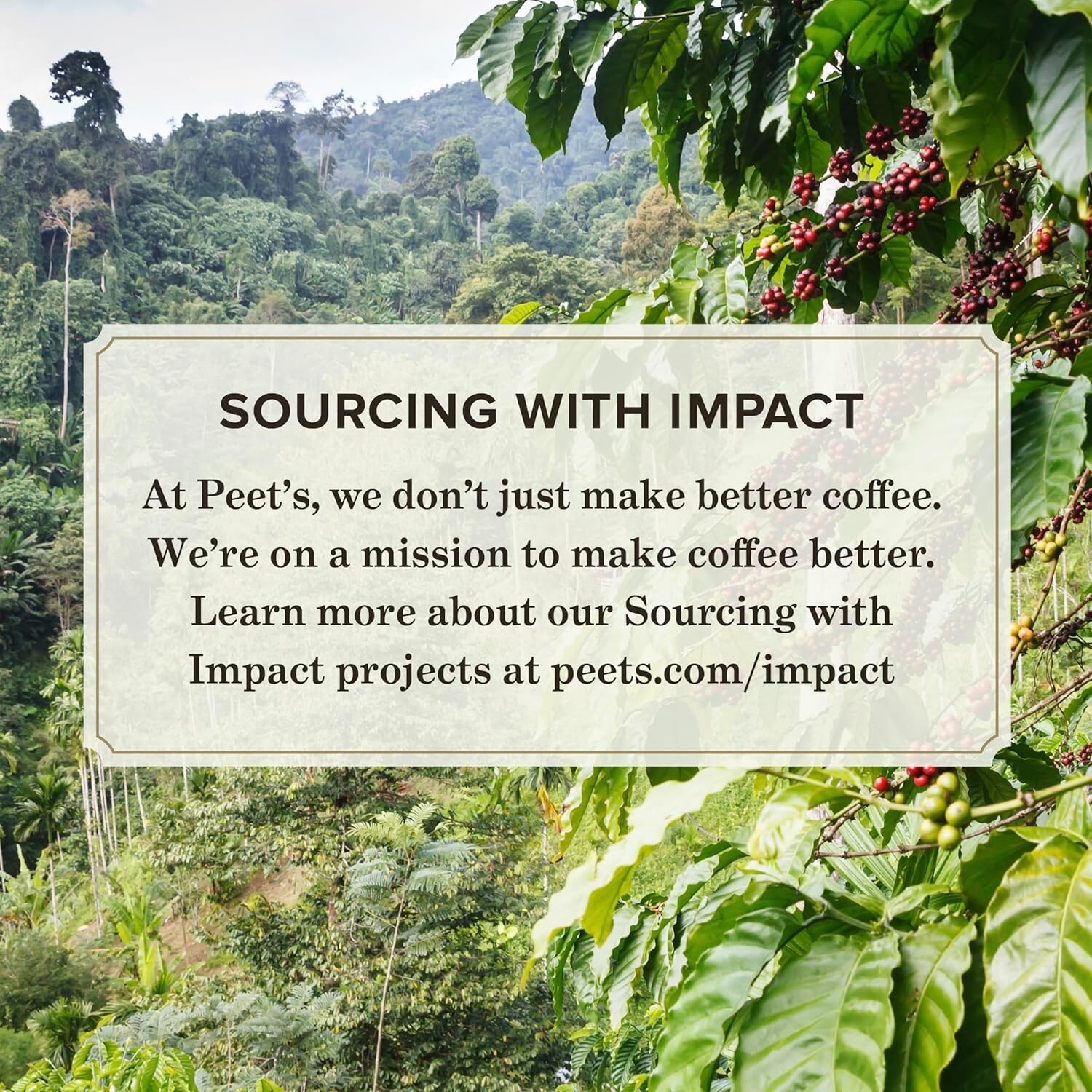 Slide 7