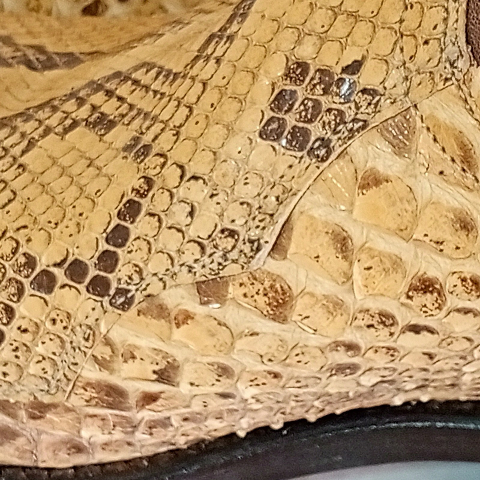 Picture 14 of 18