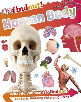 DKfindout! Human Body Dk