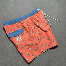 American Eagle Pineapple Swim Trunks Shorts Mens Medium Multicolor