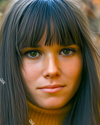 BARBARA HERSHEY - 8''X10'' PHOTOGRAPH VIVID LUSTRE REPRINT WITH USPS TRACKING