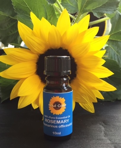 100% Pure Essential Oils Therapeutic Grade Choice of Oils Natural Healing Scents - Picture 3 of 5