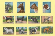 POSTER STAMPS BREEDS OF DOGS GREYHOUND St BERNARD ROTTWEIL SKYE-TERRIER LINDT
