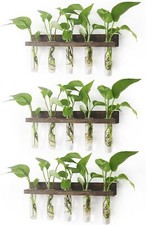 Plant Propagation Station Tubes, 3 Tiered 15 Wall 15 Test Tube Vases, Brown