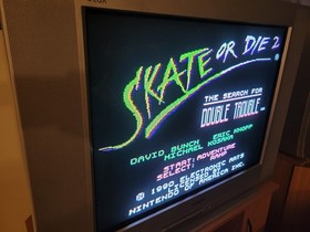 Skate or Die 2 NES Authentic & Tested