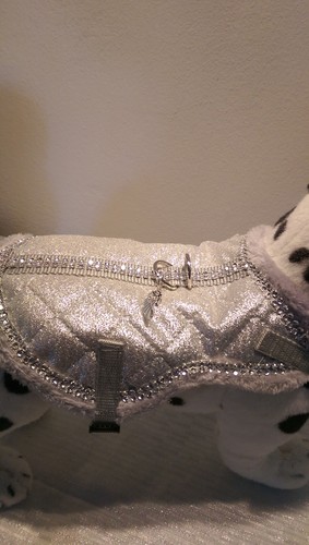 Softgeschirr warm gefüttert Brustgeschirr Hundegeschirr silbergrau Halsband XS-M - Bild 27 von 29