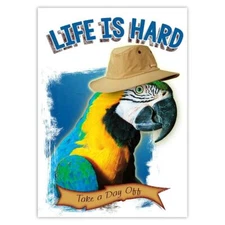 Gift Sticker : Macaw Panama Hat Life is Hard Parrot Bird Funny Vacation Holiday