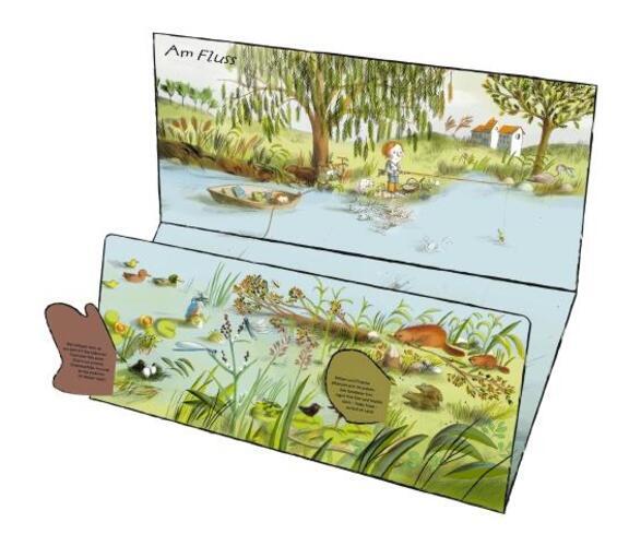 Thumbnail - Anne-sophie Baumann (u. A.) | Drüber & Drunter - In Der Natur | Buch |