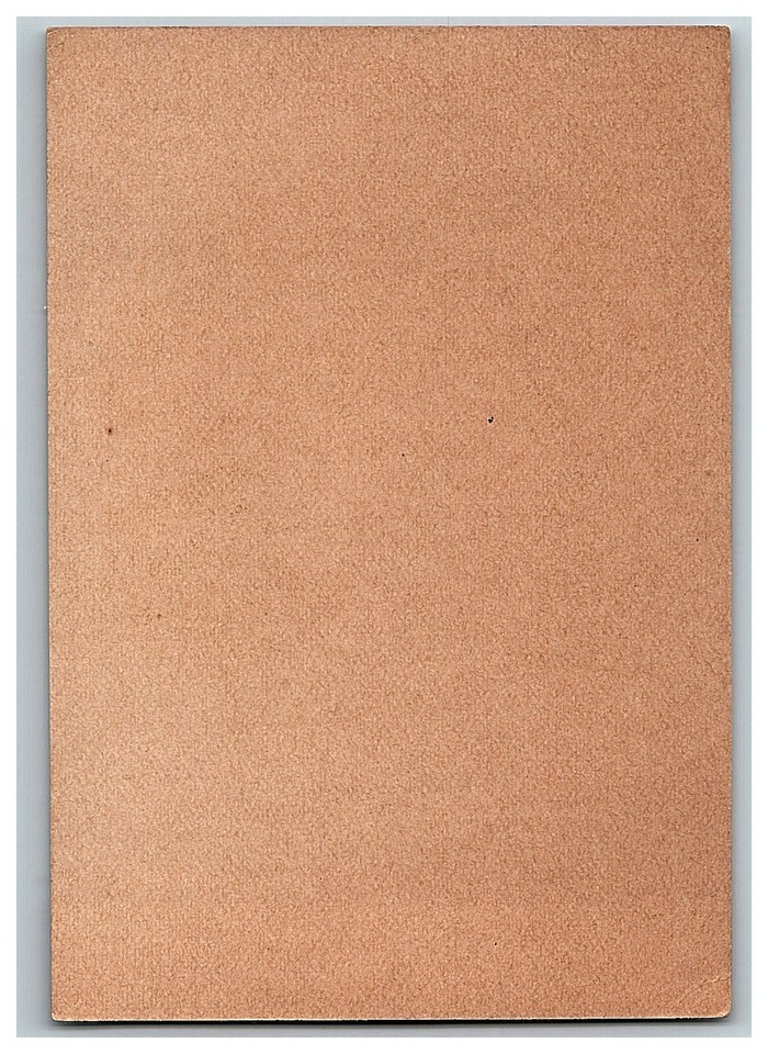 Victorian Trade Card Niagara Corn Starch Lovely Girl Leaf Background eBay