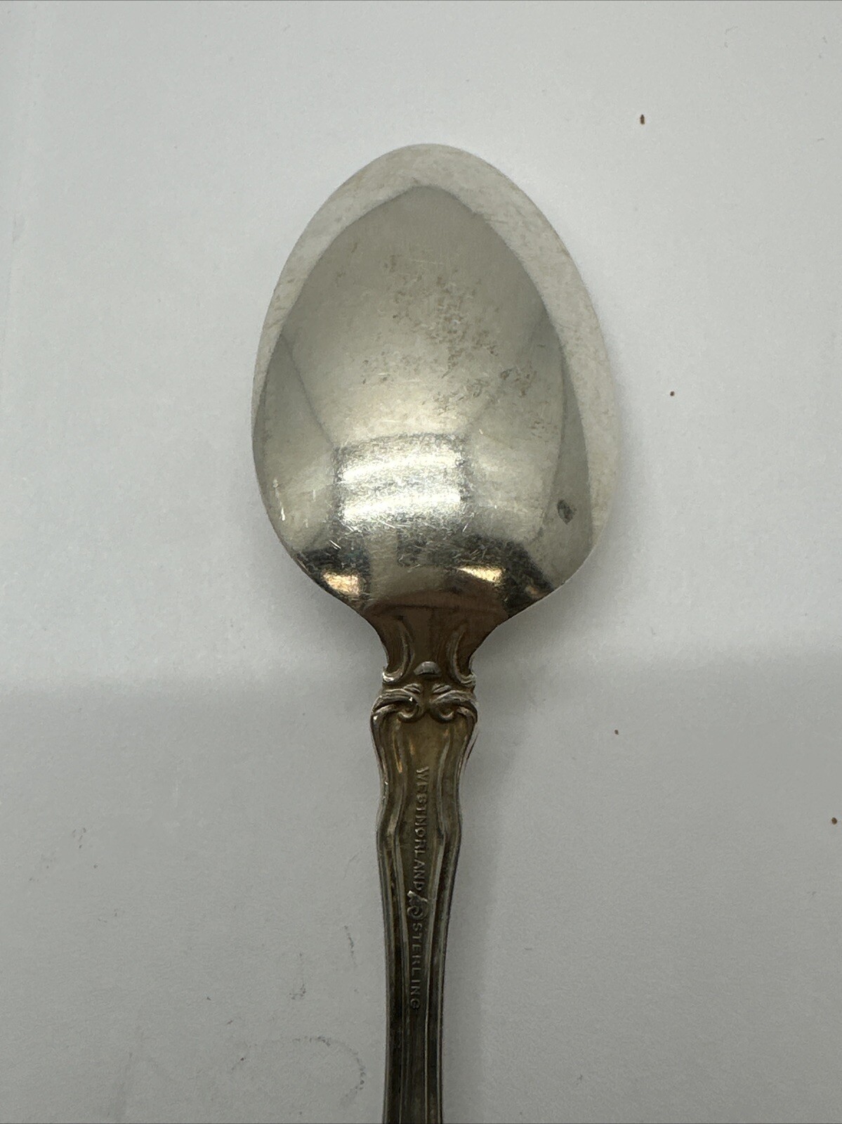 Picture 5 of 6