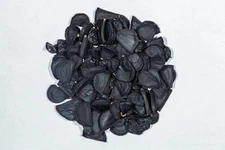 Yucca elata 'Soaptree' COLD HARDY Seeds!